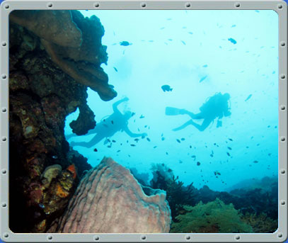 Dive Center Bali