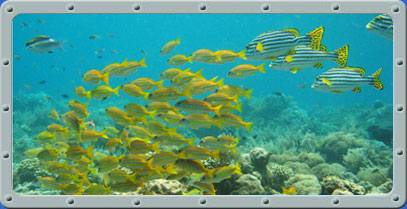 Dive Center Bali