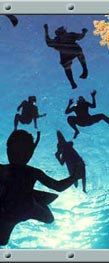 Dive Center Bali