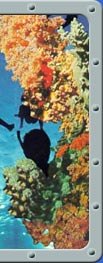Dive Center Bali