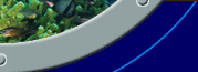 Dive Bali - Porthole 2