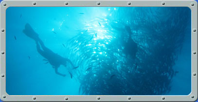 Dive Center Bali