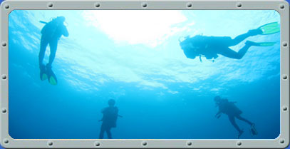 Bali Dive Center